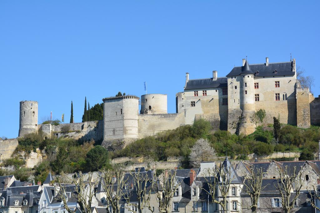 Domaine du Héron Chinon Exterior foto